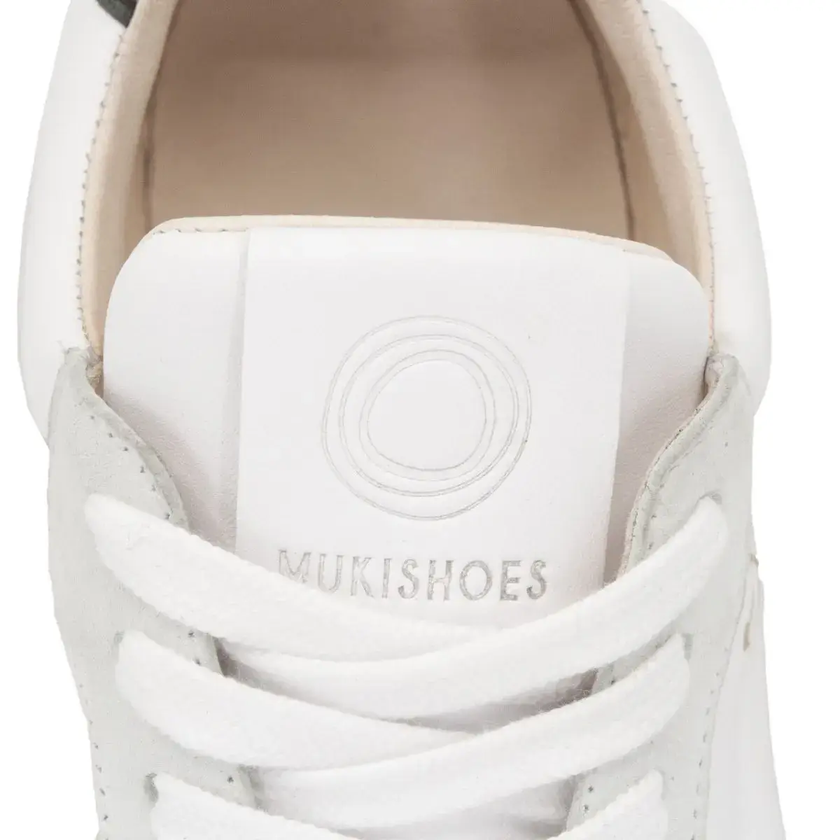 Lyra - Cygnus - Image 6