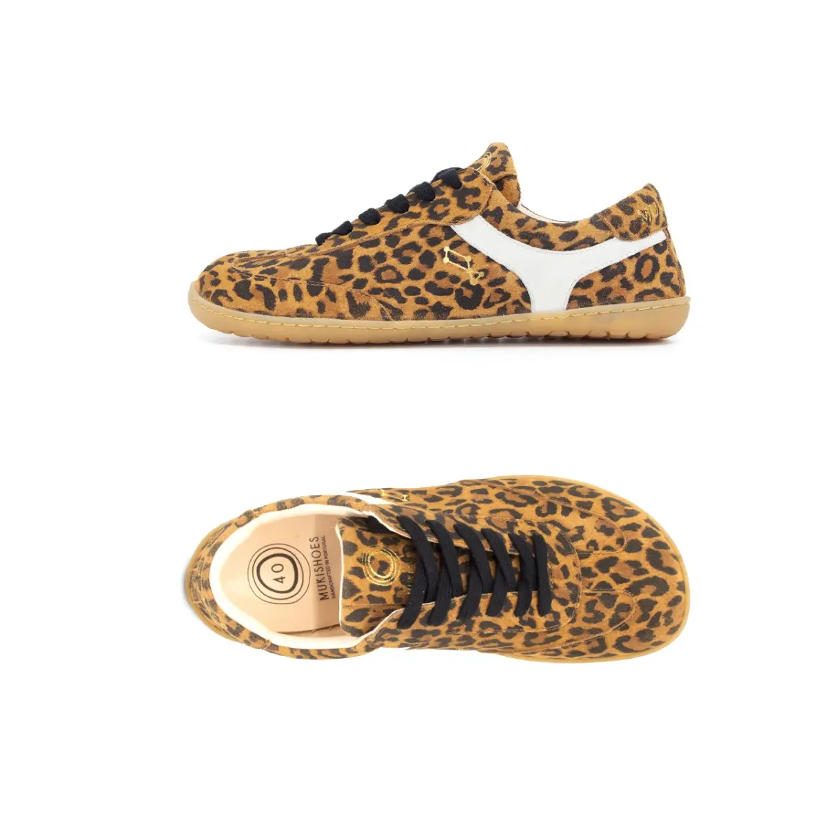 Lyra - Leo - Image 3