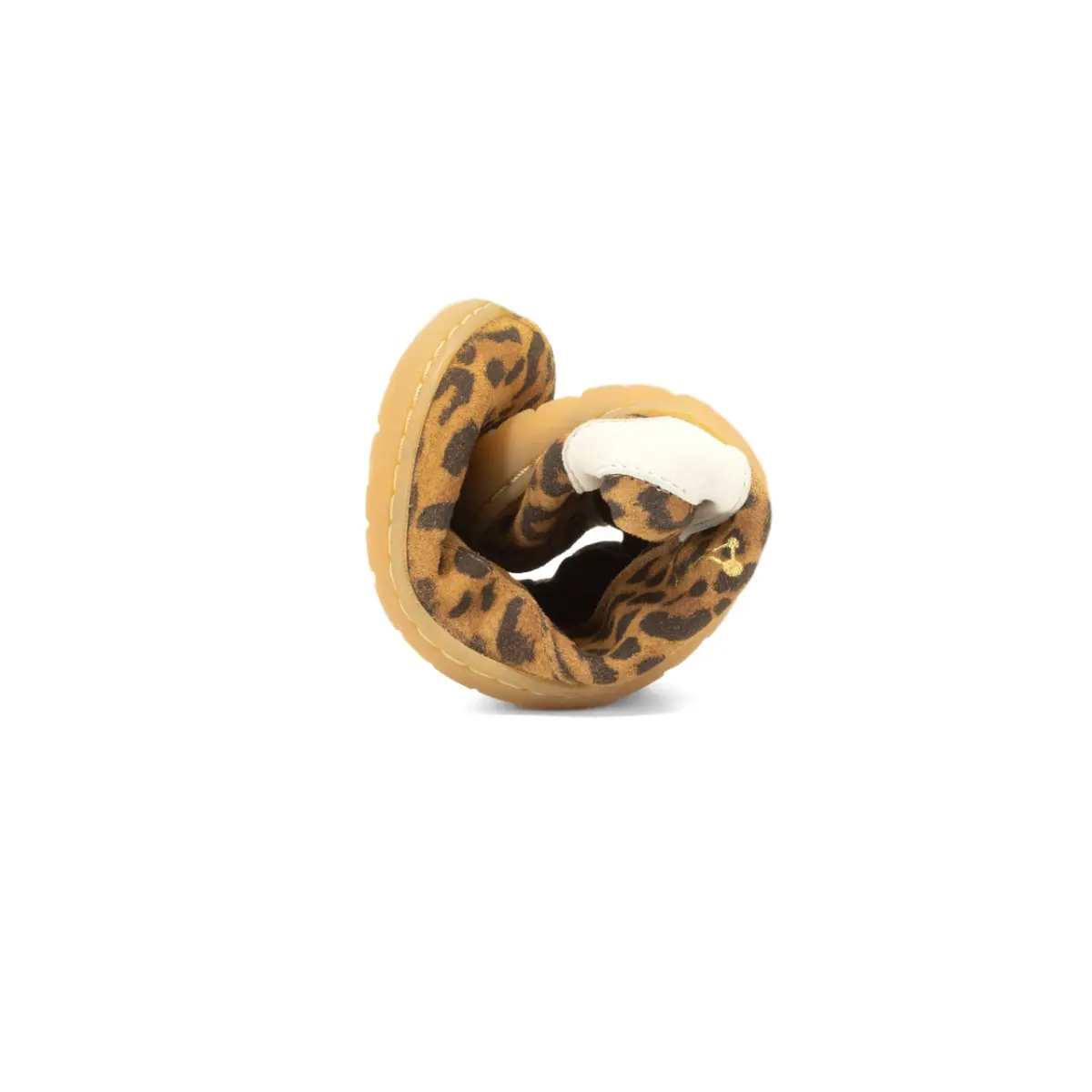 Lyra - Leo - Image 4